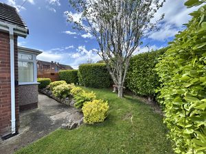 Photo 17- click for photo gallery